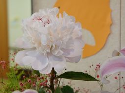 清楚な花と装飾