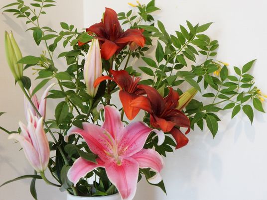 色鮮やかな花のアレンジメント