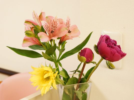花束と壁のスイッチ