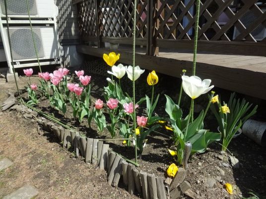彩り豊かな植物園