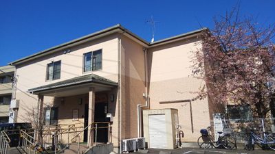桜並木沿いの建物