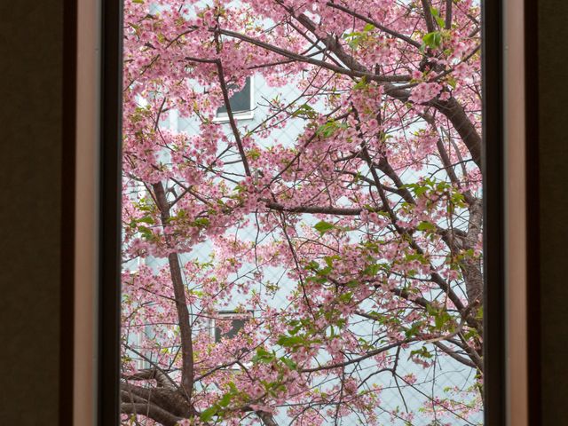 桜が見える窓 内観 窓から見える満開の桜が春を感じさせる空間です。季節の移ろいを楽しむことができます。