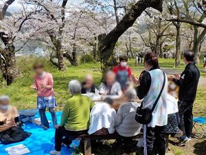桜の木の下の集まり