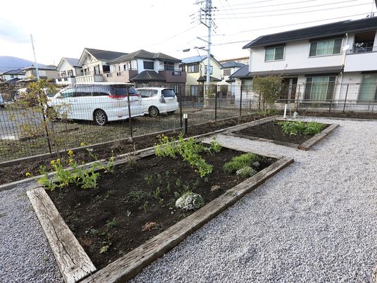 中庭の緑豊かな花壇