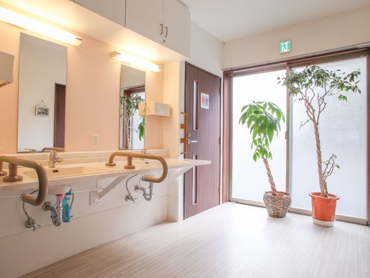 トイレルームの手前には2台の洗面台と観葉植物がおいてあり、日当たりも良いので爽やかな気分にさせてくれる。