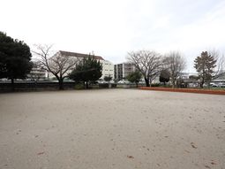 広い公園の風景