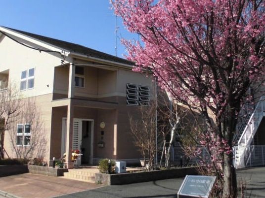 桜の木と建物の外観  