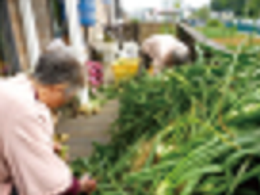 お庭で作業する様子