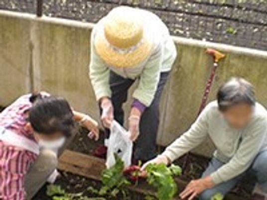 野菜を収穫する人々
