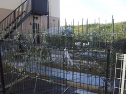 緑に囲まれた庭