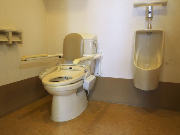 機能的な設備のトイレ