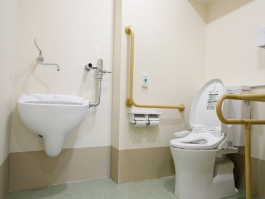 手すり付きトイレの内観