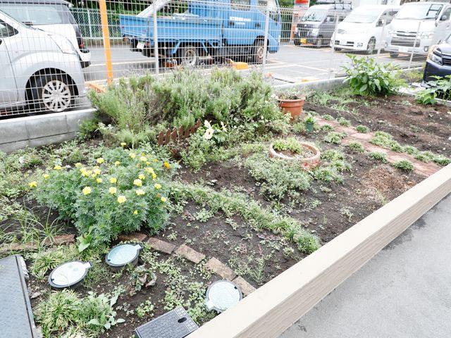 手入れされた施設の庭