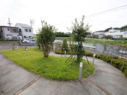 緑あふれる中庭風景