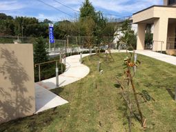 新緑の中庭