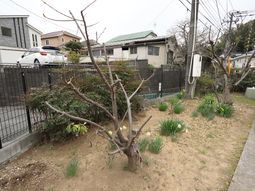 中庭の緑と休憩スペース