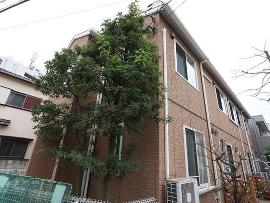 緑豊かな外観の建物