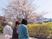桜並木と人々