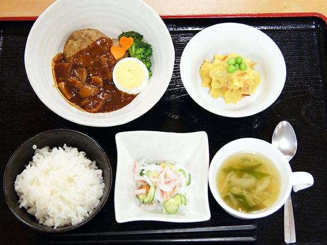 栄養バランスが考えられた食事 食堂 バランスの取れた食事が提供され、多種多様なメニューが用意されています。新鮮な食材を使用した彩り豊かな一皿です。