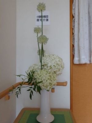 花と手すりのある廊下