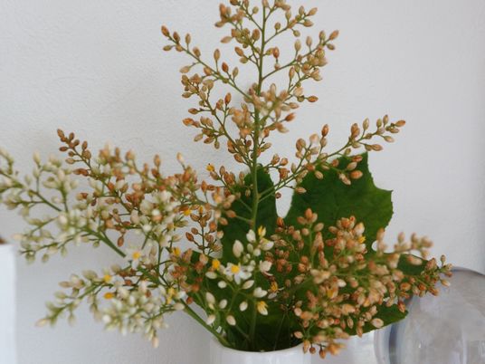 花瓶に生けられた花