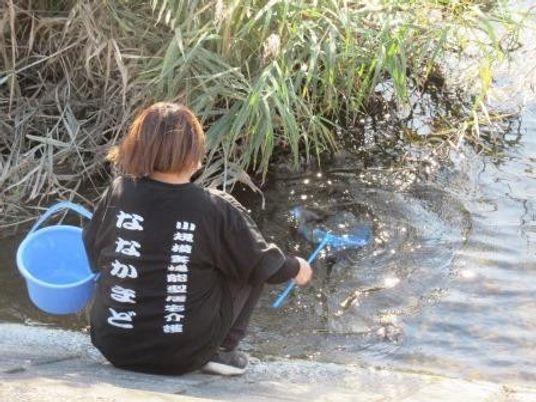 川辺で活動するスタッフ
