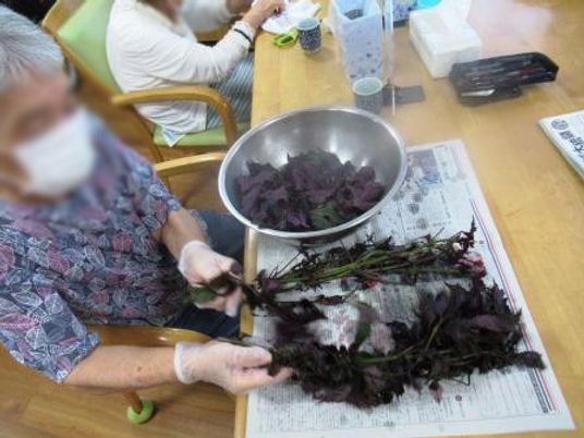 日常活動を楽しむ居室