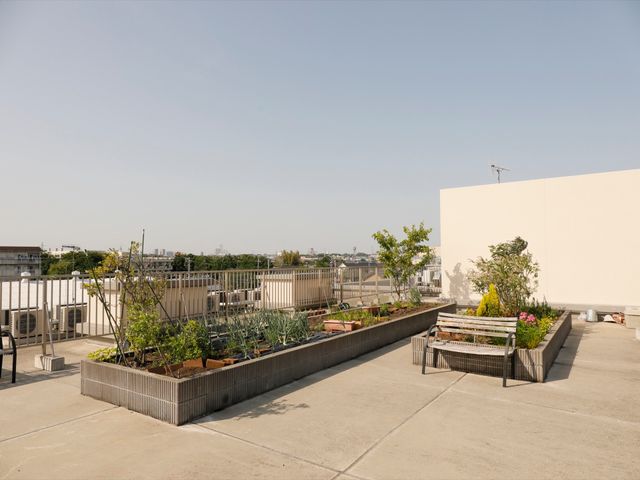 屋上緑化スペースの風景 屋上 屋上に設けられた緑豊かなスペースです。日々の植物のお手入れを通じて、心のリフレッシュを図ることができます。