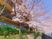 桜と建物の外観
