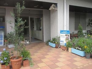 エントランス周りの植栽