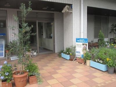 エントランス周りの植栽