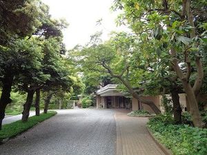 緑に囲まれた建物外観  