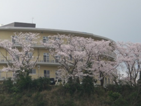 桜並木の建物外観  