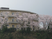 桜並木の外観  