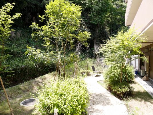 緑豊かな庭の一角