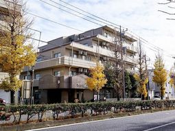 秋の木々と建物外観