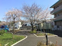 桜と建物の庭