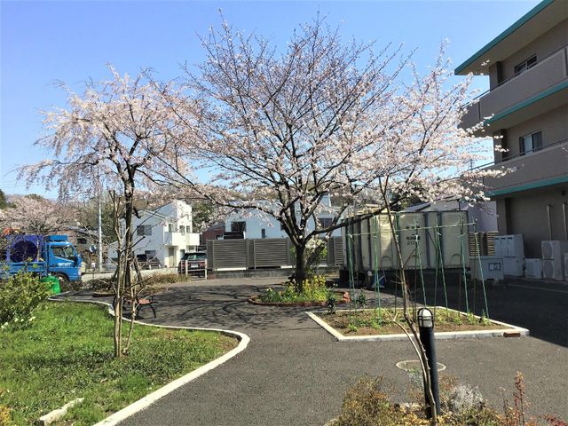 桜並木と施設外観 庭 桜の木が並ぶ庭では、春の息吹を感じながら穏やかな時間を過ごすことができます。職場としても自然の恵みを身近に感じられる環境が整っています。