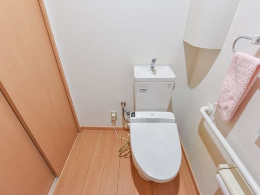 個室のトイレは、入口が引き戸のドアで段差がない。壁には手すりが設けられている。タオル掛けも完備されている。