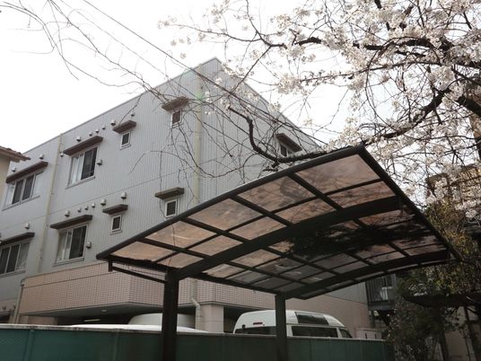 桜並木と建物の外観