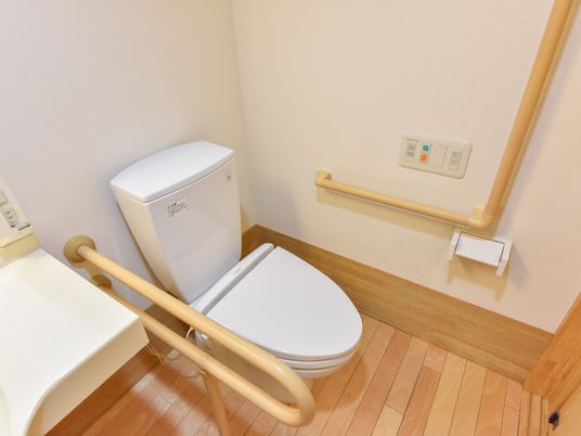 手すり付き清潔なトイレ