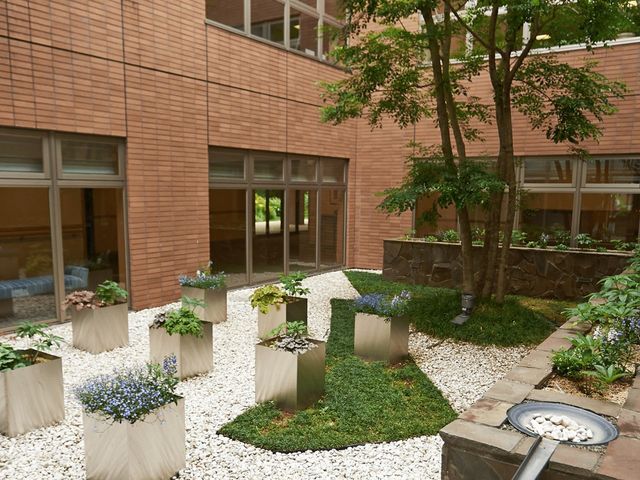 緑豊かな中庭 中庭 中庭には、自然を感じられる植栽が施され、リラックスできる雰囲気が広がっています。