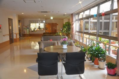 自然光と植物のリビング