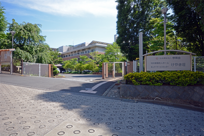 緑に囲まれた建物の外観