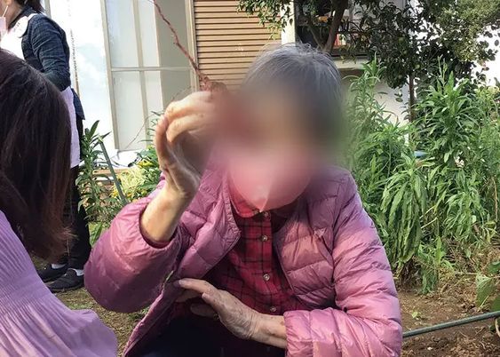 自然を楽しむ様子