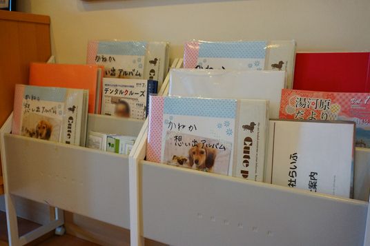 雑誌とパンフレットの棚