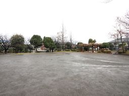 公園風景の広い空間