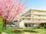 桜と建物の外観  