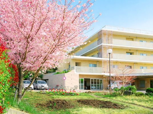 桜と建物の外観  