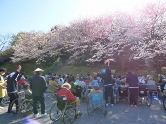 桜の下での集まり